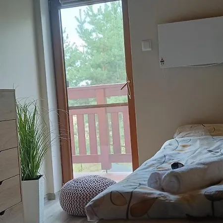 Rajski Azyl Apartment Lidzbark Welski